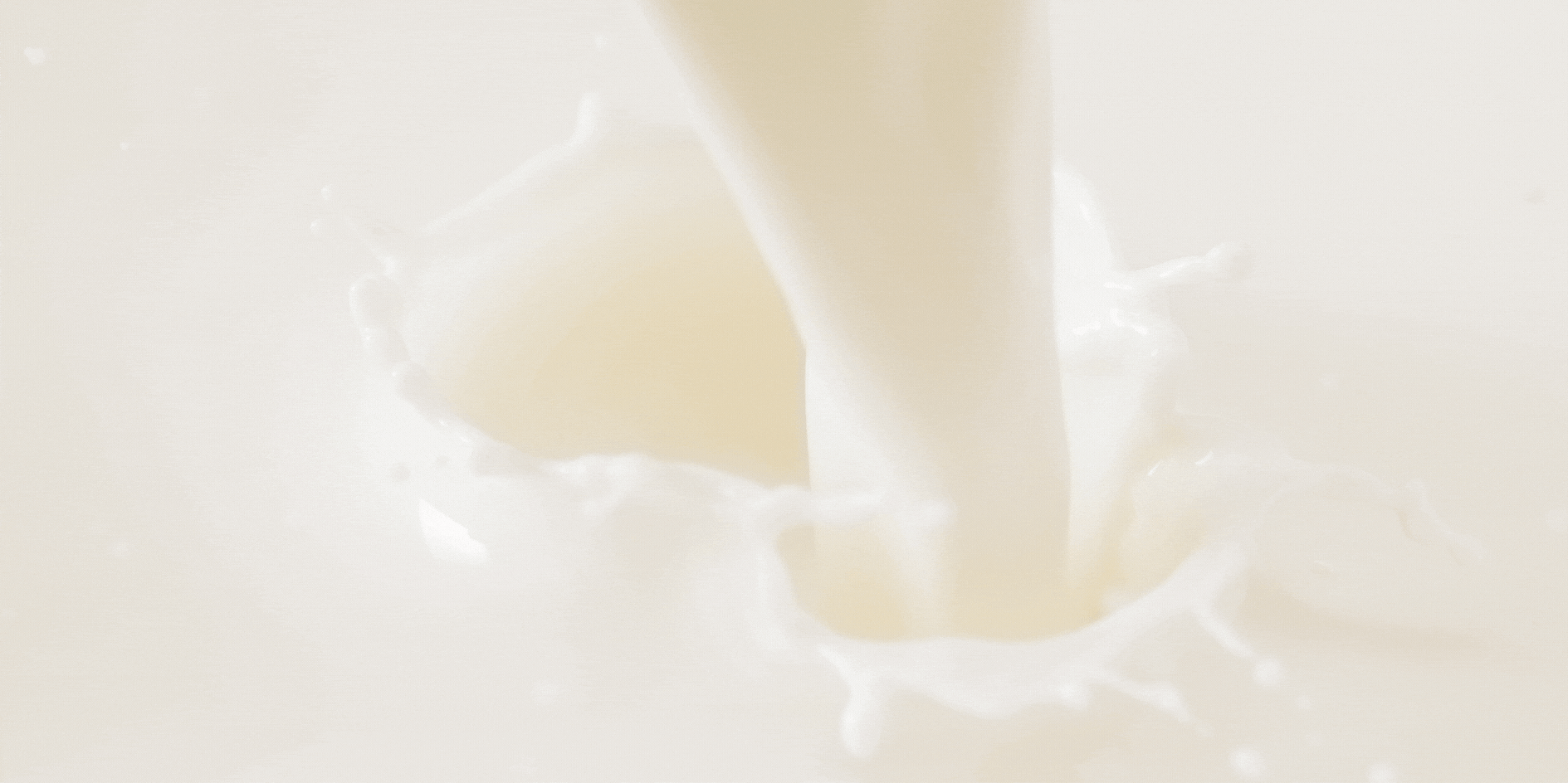 LACTISOL view 2